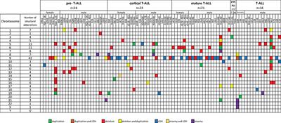 Advantages and Limitations of SNP Array in the Molecular Characterization of Pediatric T-Cell Acute Lymphoblastic Leukemia